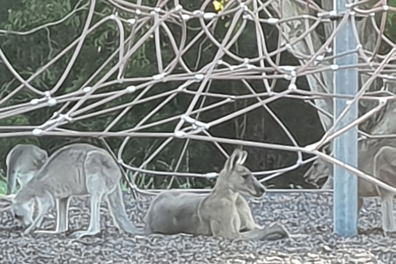 Overnight Respite Care